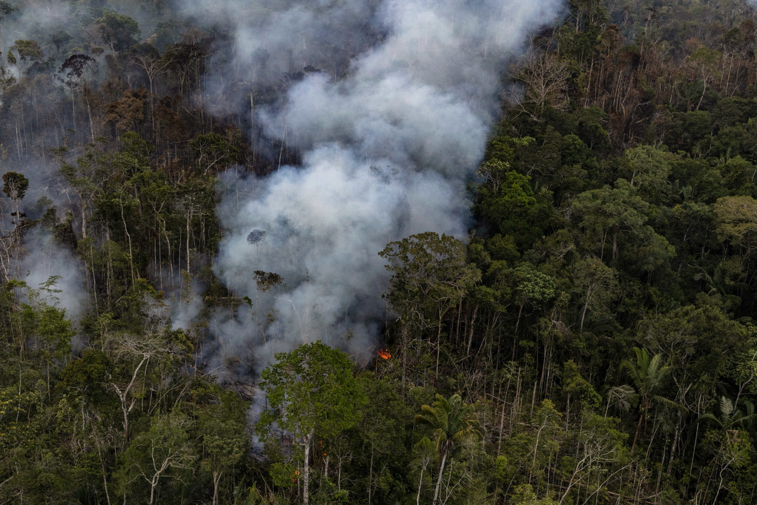 Incendio en una zona forestal degradada que está siendo desbrozada en Novo Aripuanã, estado de Amazonas. Foto: Victor Moriyama / Amazônia em Chamas 