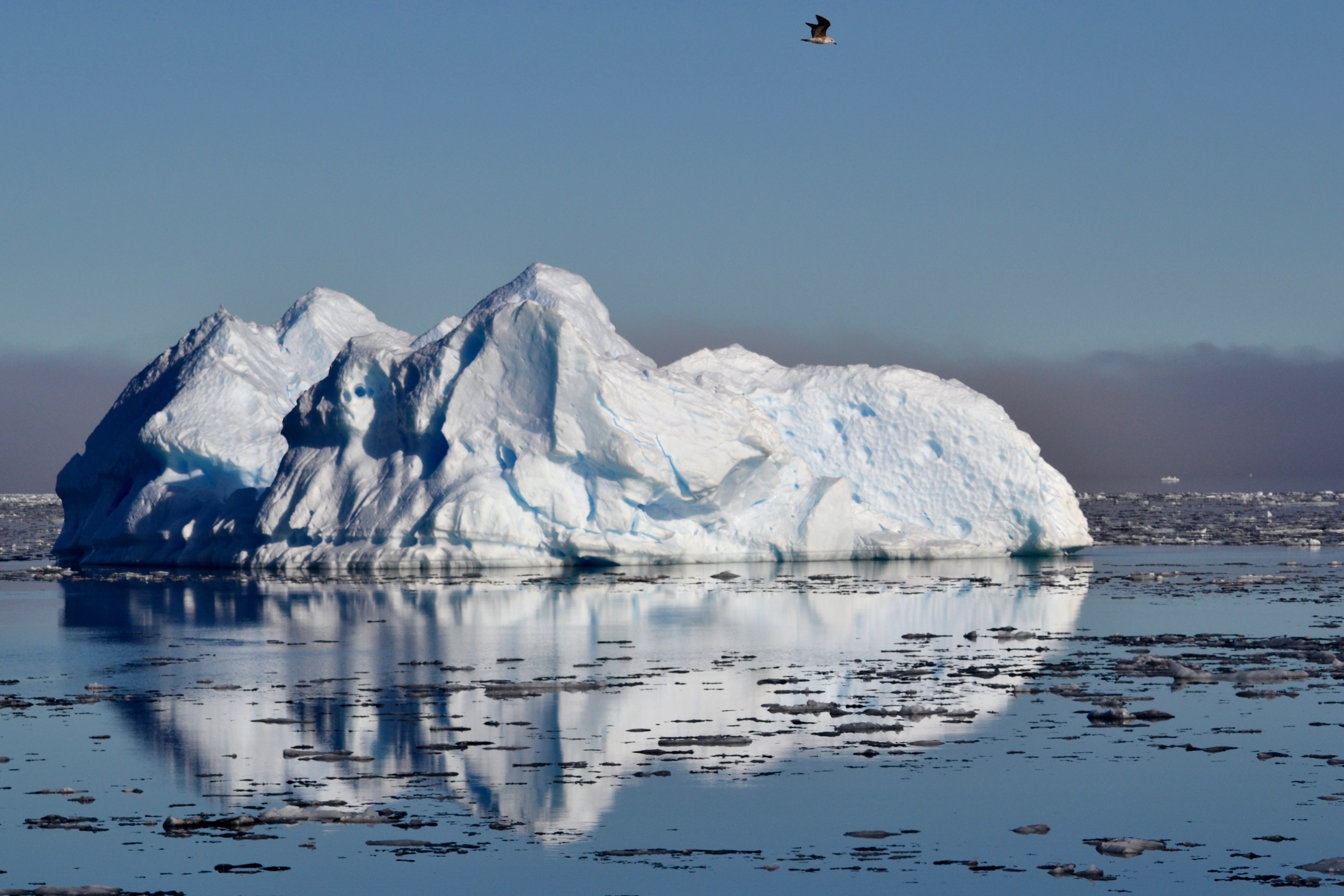 Navegando por el Río Témpanos, centenares de bloques de hielo de distintos tamaños anuncian la llegada al glaciar.