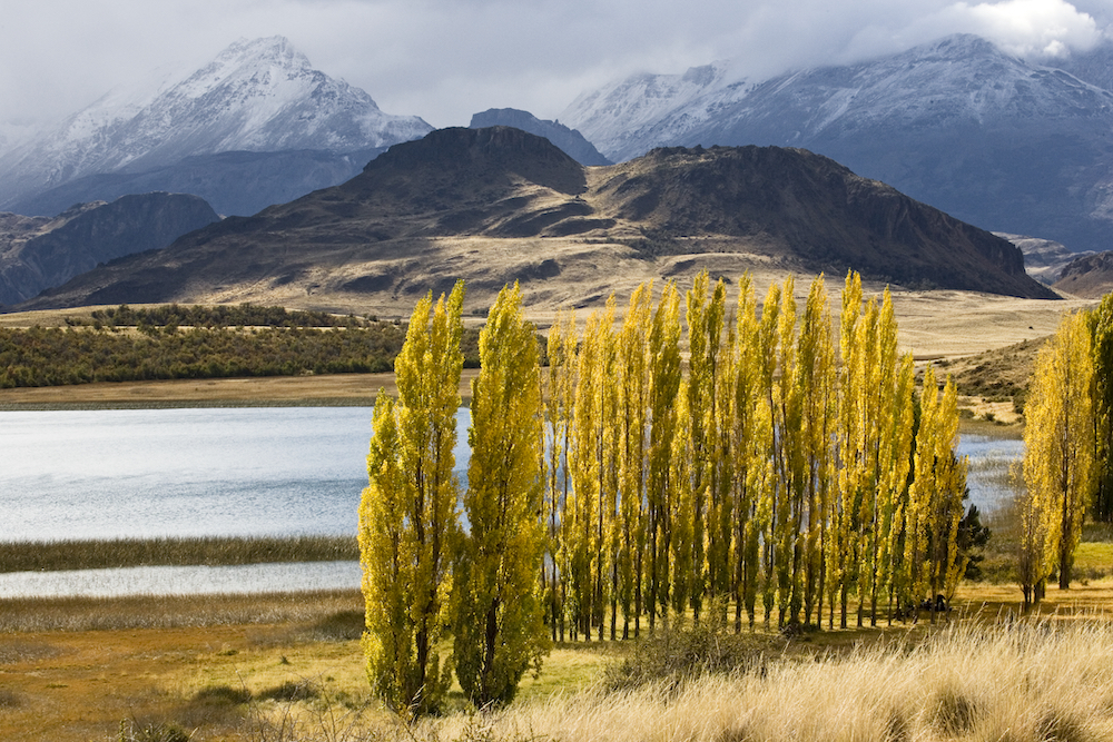Patagonia National Park. Photo: Linde Waidhofer